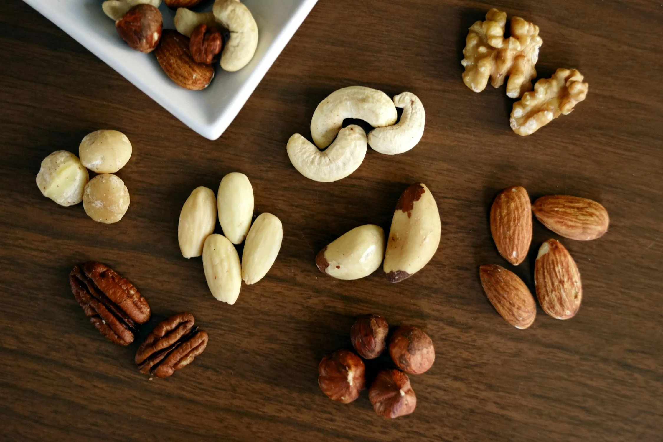 Plant-Based Protein Powder